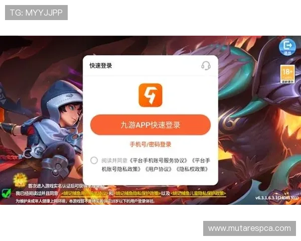 轻松下载九游app电脑版，享受多样游戏乐趣的完美平台