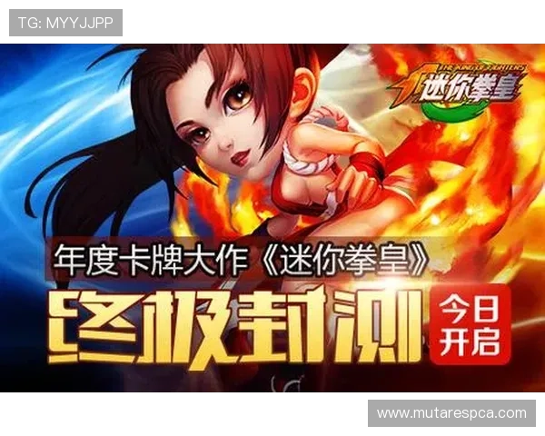 九游娱乐真人版全站登录用户体验提升方案，优化界面设计与操作流程带来更佳体验