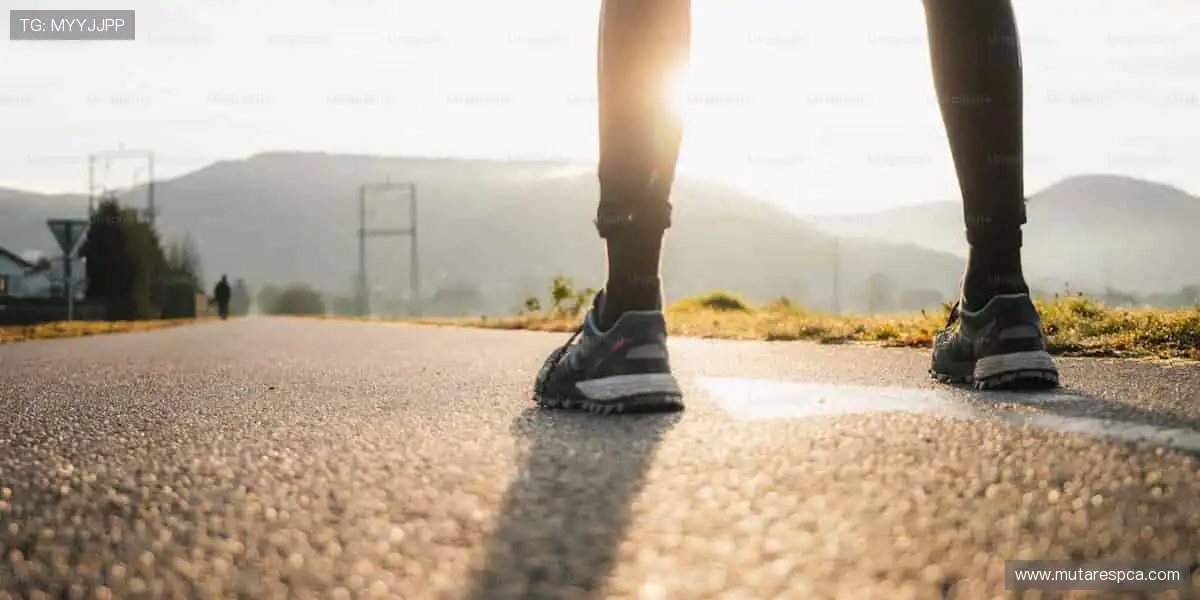 次世代网络游戏网:超高画质电影级特效,视觉盛宴震撼来袭